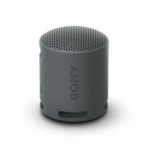 Sony SRS-XB100 compact cylindrical wireless speaker in a grey finish, showing the top grille.