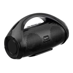A black pTron Fusion Go portable Bluetooth speaker with a built-in handle and cylindrical mesh body.